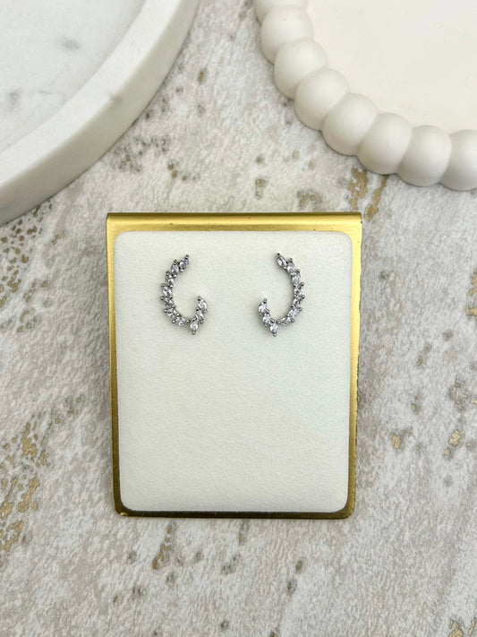 Silver Hook Earrings