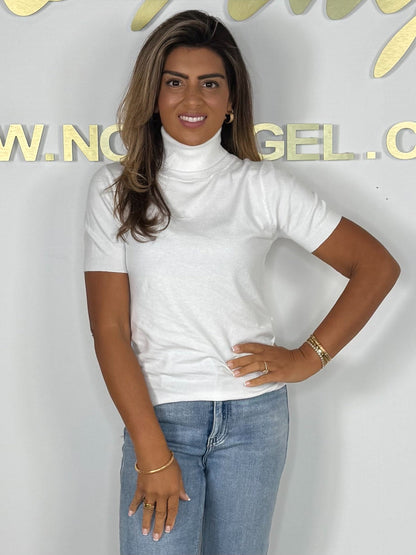 Soft Knit Short Sleeve Roll Neck Top (4 Colours)
