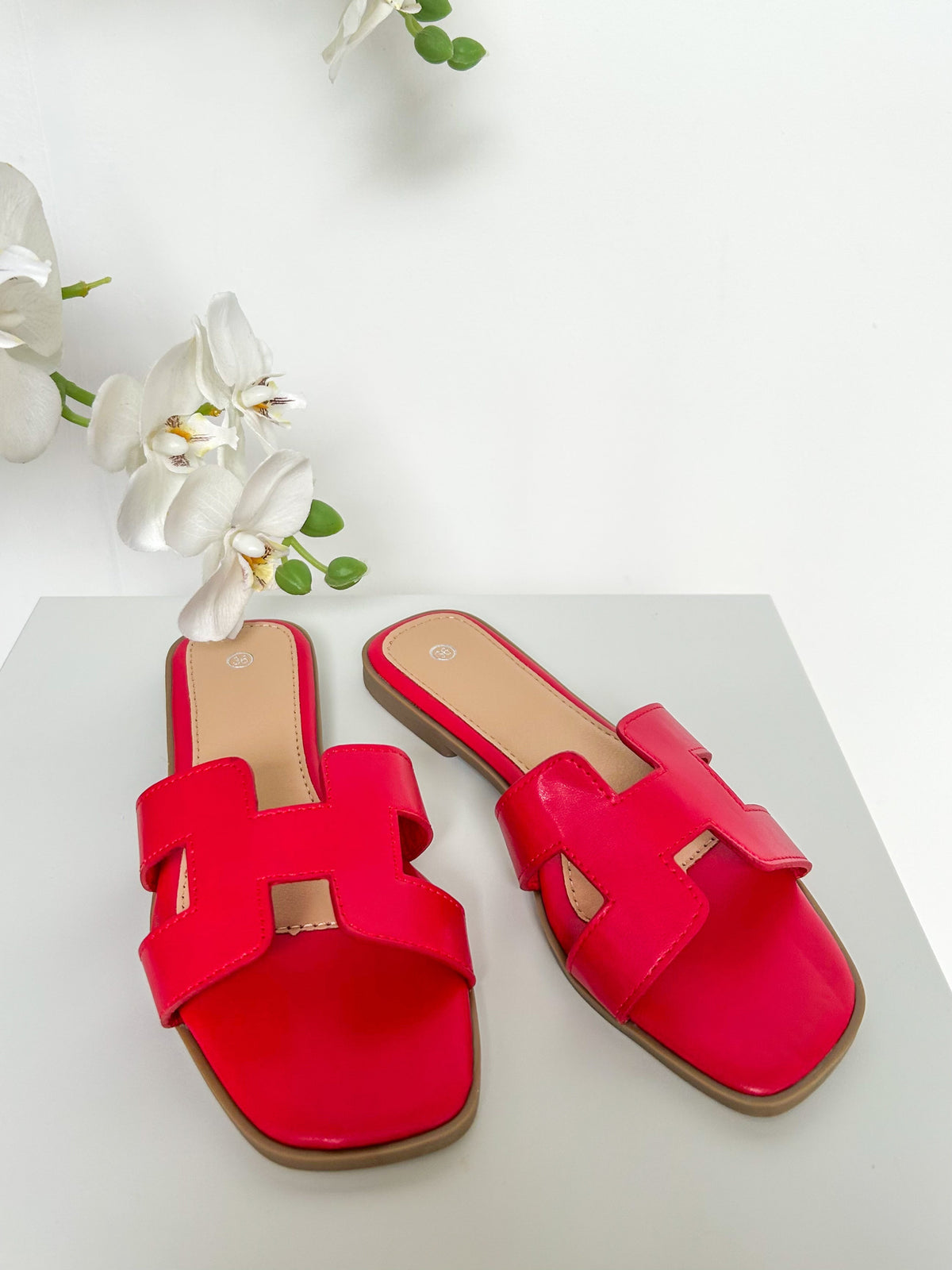 Nicolas Sliders (22 Colours)